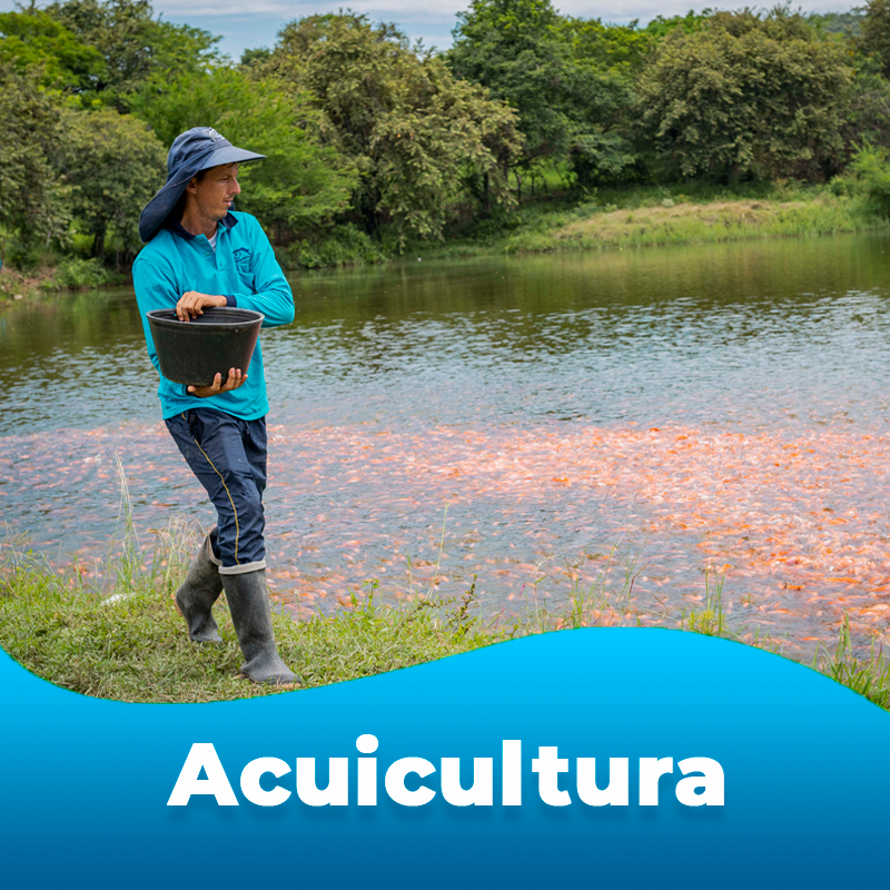 Acuicultura